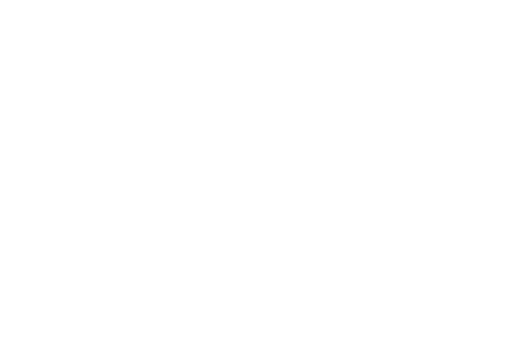 Logo-Mirai-Sec-05-768x509